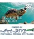 SSI Sea Turtle Ecology
