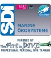 SDI Marine Ökosysteme